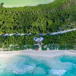 Casa Pelícanos Mx - Next To Zone Villa Tulum